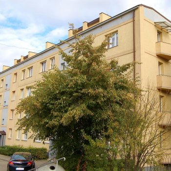 TBS Kutno